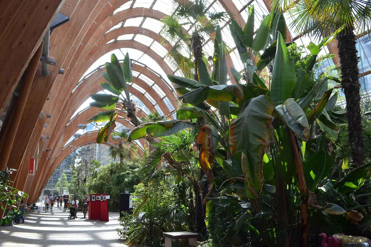 Sheffield Winter Garden — the timber-arched glasshouse in the city centre